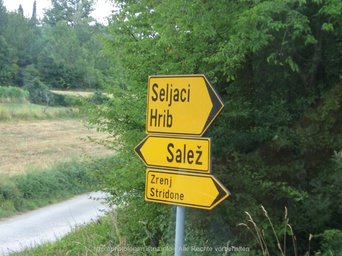 Salez_006.JPG