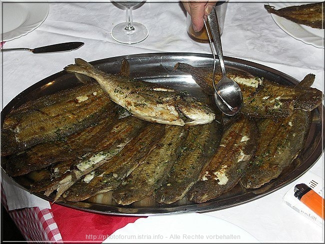 PICT2240.JPG
