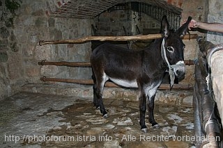 NATIONALPARK_KRKA_IMG_0711.jpg
