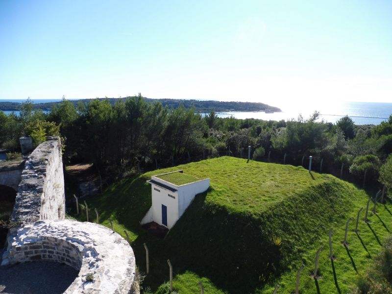 P1080679.jpg