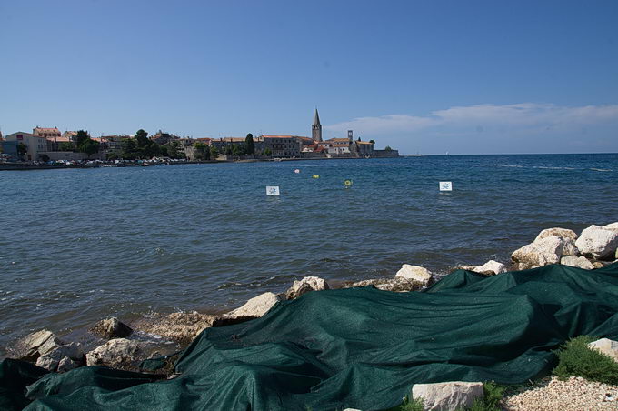 DSC07724-1.jpg