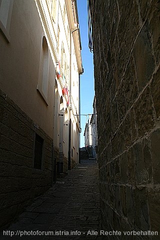 PIRAN_Weg_Bolinska_zum_Kloster_IMG_7439.jpg