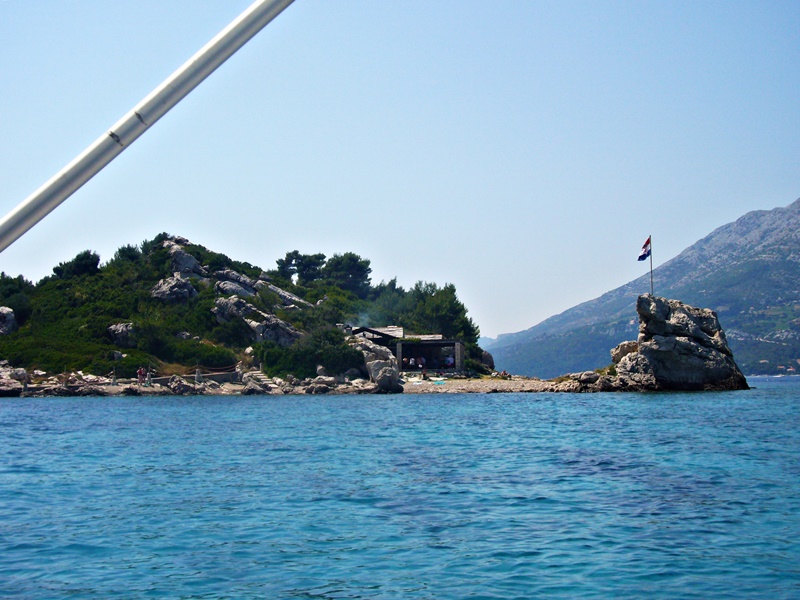 305.jpg