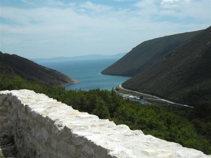 plomin_2012_023_2.jpg