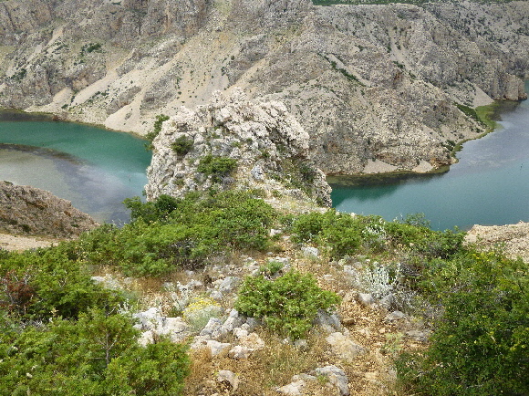 P10805313.jpg
