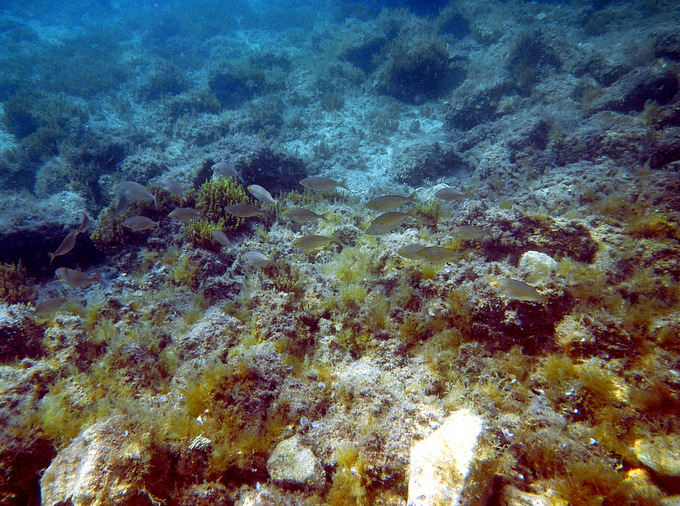 DSCN1421.JPG