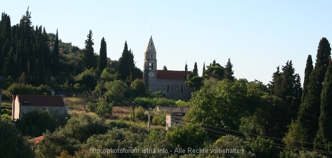 Monte_Budva_002r.jpg