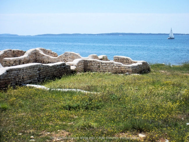 10_5424.JPG