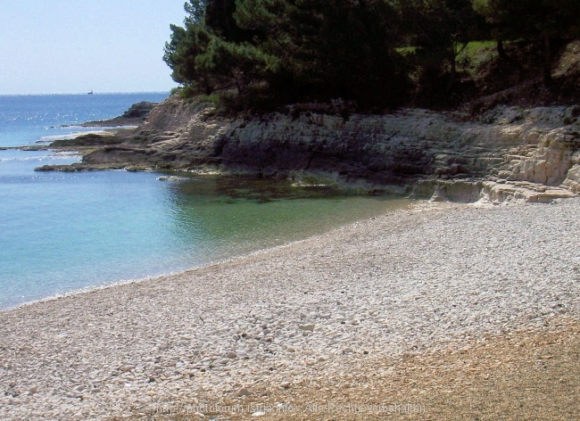 Lungo_016.jpg