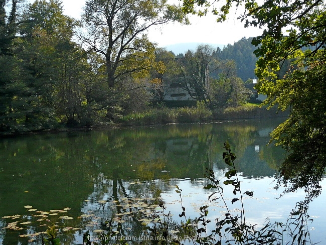 P101057211.jpg