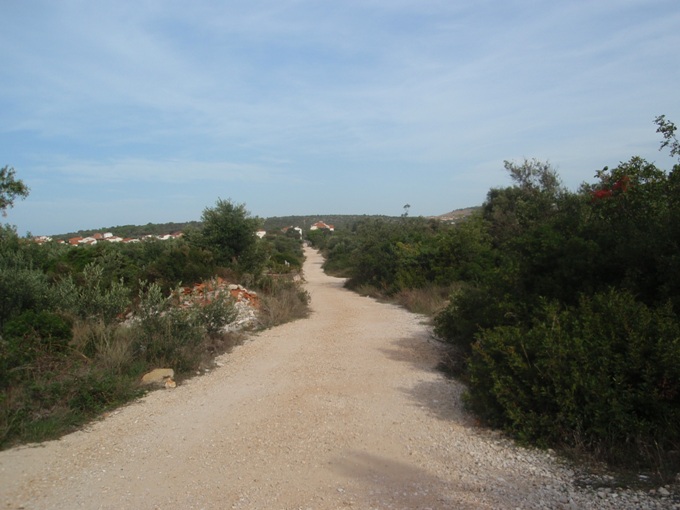 P1010375.jpg