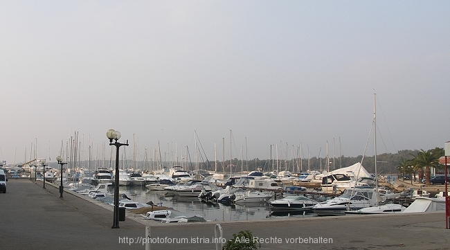 PICT8899-1.jpg