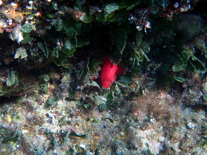 DSCN1453.JPG