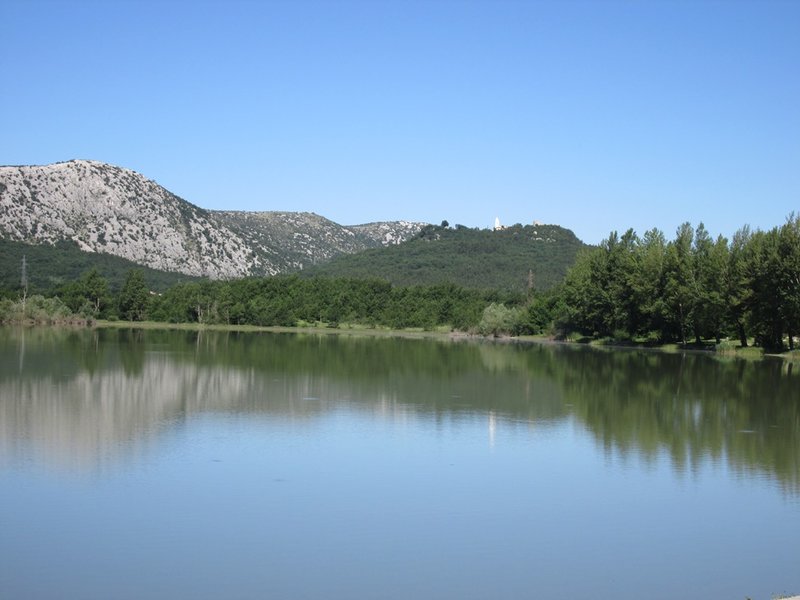 29442574vm.jpg