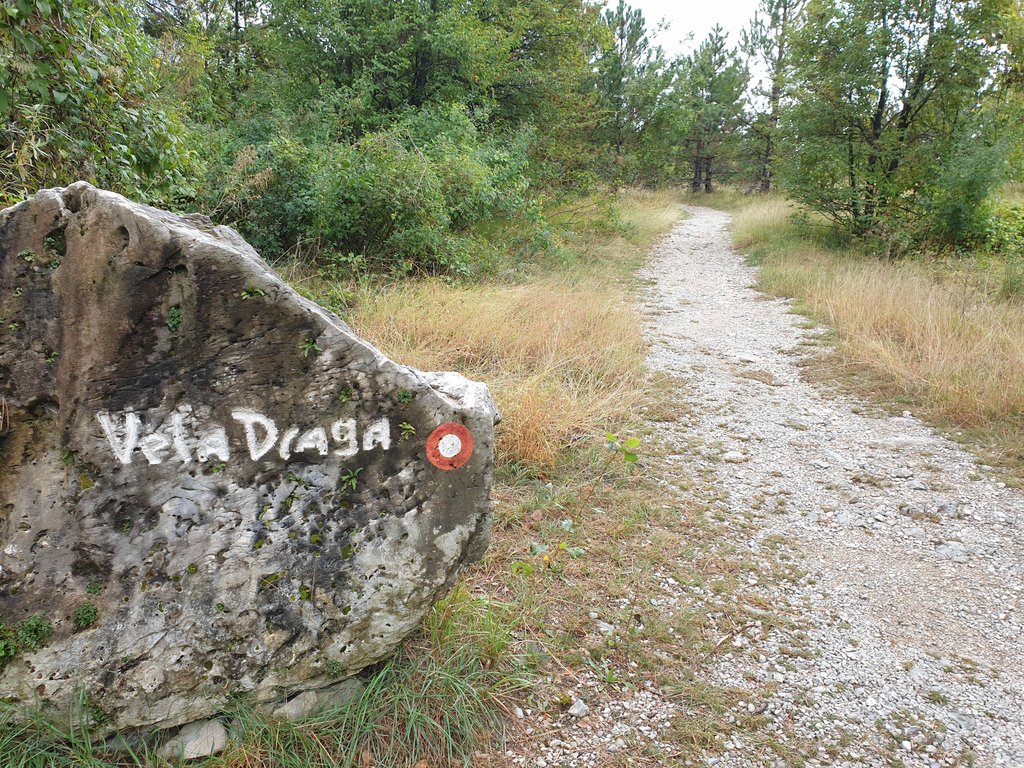 40104315uj.jpg