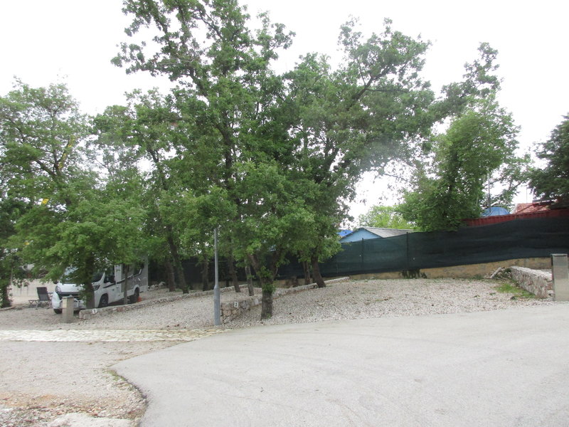 29004932ua.jpg