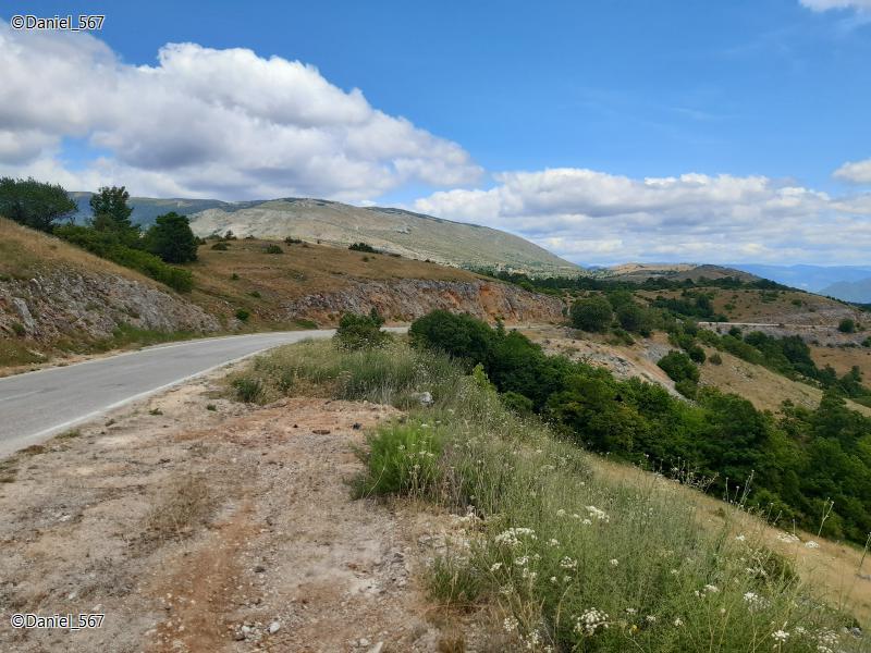 49790073qr.jpg