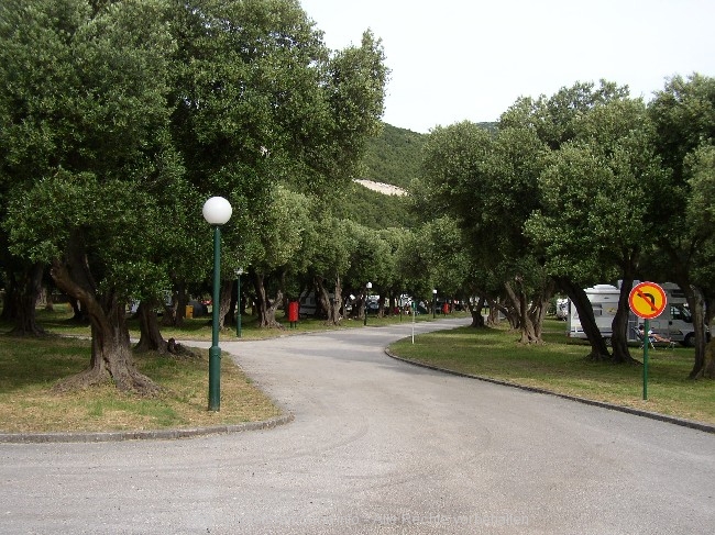 Campingplatz.jpg