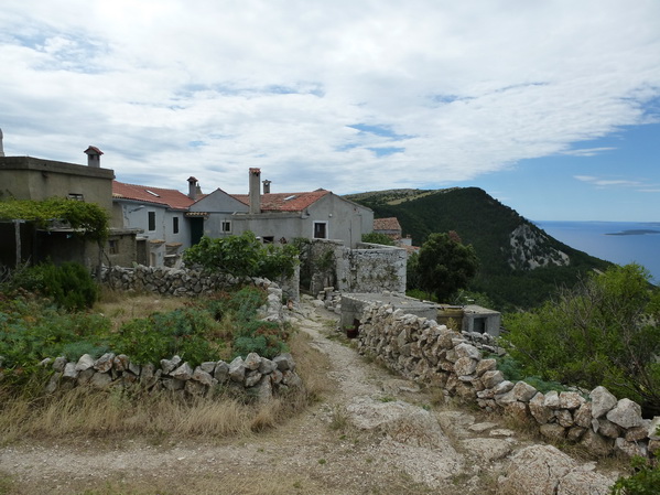 P1010253_Bildgre_ndern.jpg
