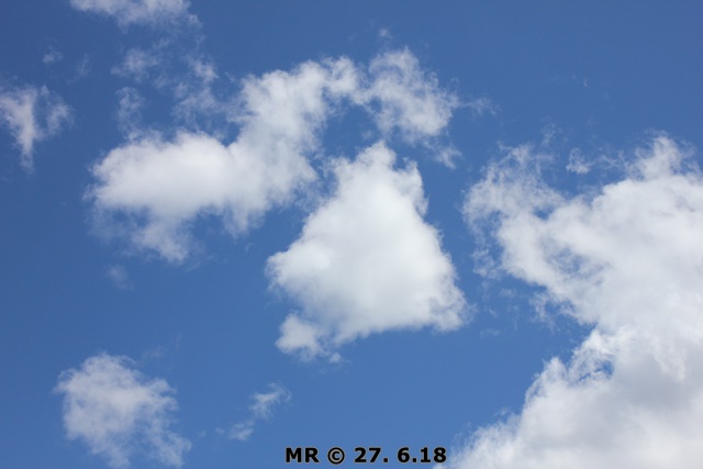 33094157vh.jpg