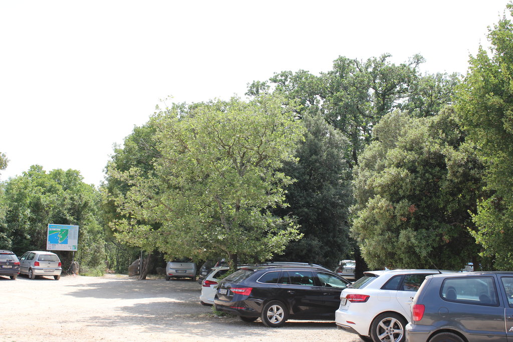 32884129vi.jpg