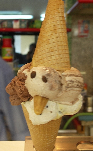 PICT5852.jpg