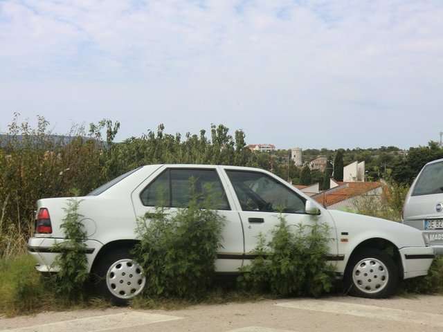 kroatientag15018.jpg