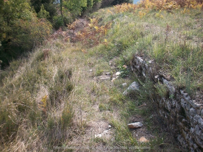 100_2476.jpg