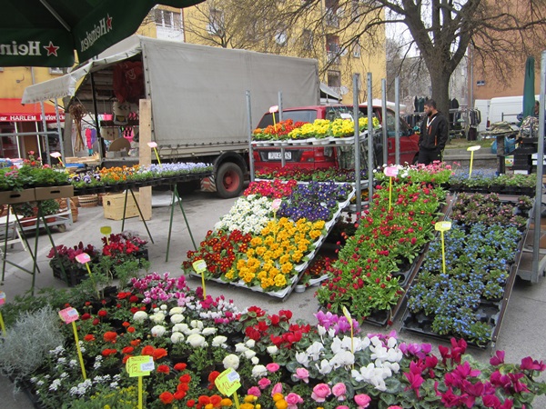 25_Markt_Labin_Pflanzen.jpg