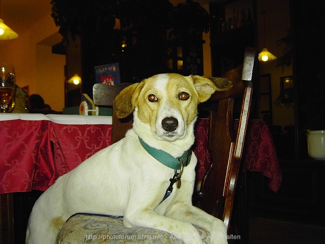 susi.jpg