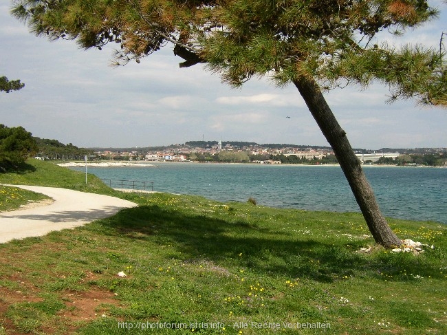 R2006_018.jpg