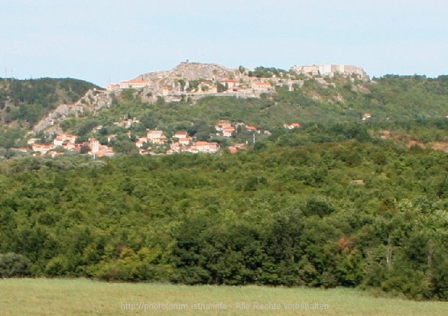 IMG_8063rzoom.jpg