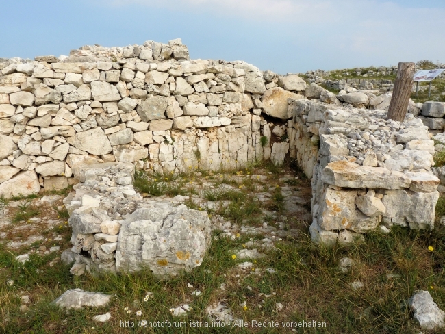 Monkodonja034.JPG