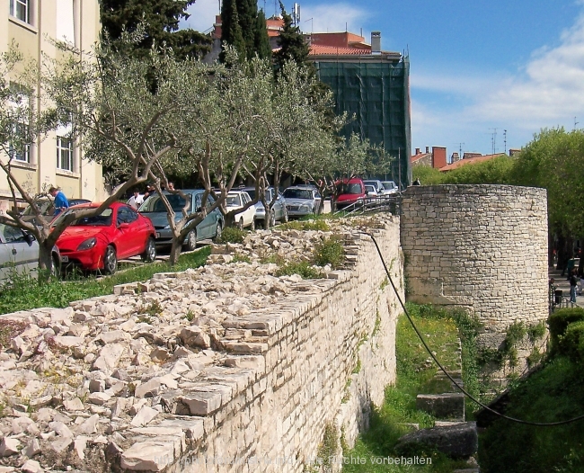 32_3825.jpg