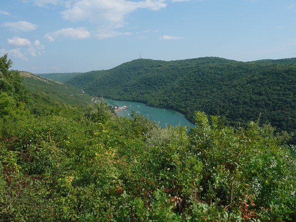 P1010882.JPG
