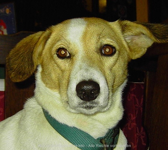 PICT3518-1.jpg