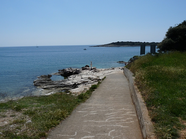 P1050272a.jpg