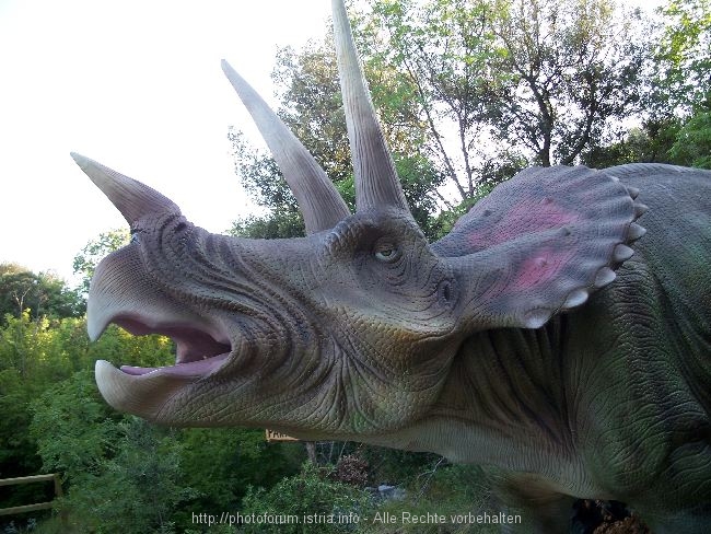 FUNTANA__DINO_2.jpg