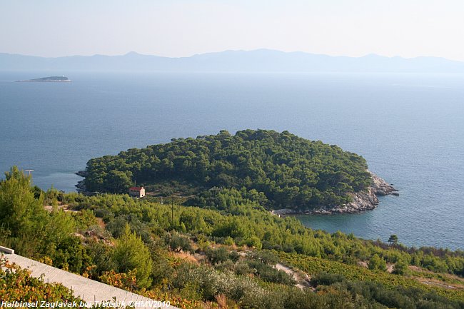 TRSTENIK_2010IMG_1995.jpg