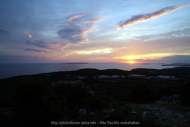 DSC01891-1.JPG