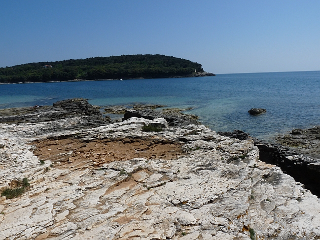 P1050292a.jpg