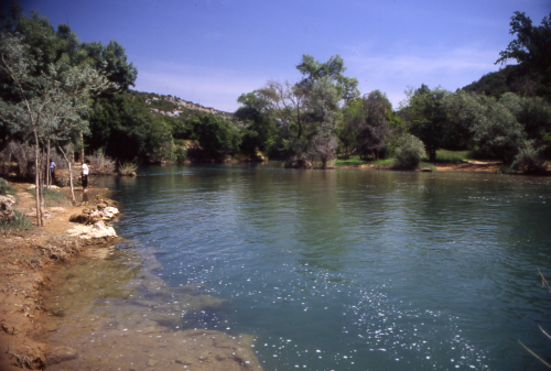 u2005-0882_Kravica.jpg
