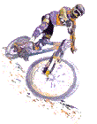 radsport-0032.gif