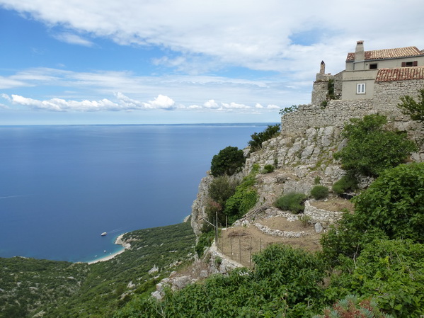 P1010243_Bildgre_ndern.jpg