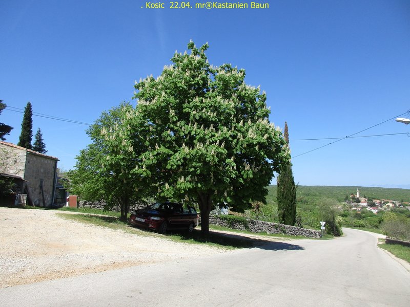 32473475fl.jpg