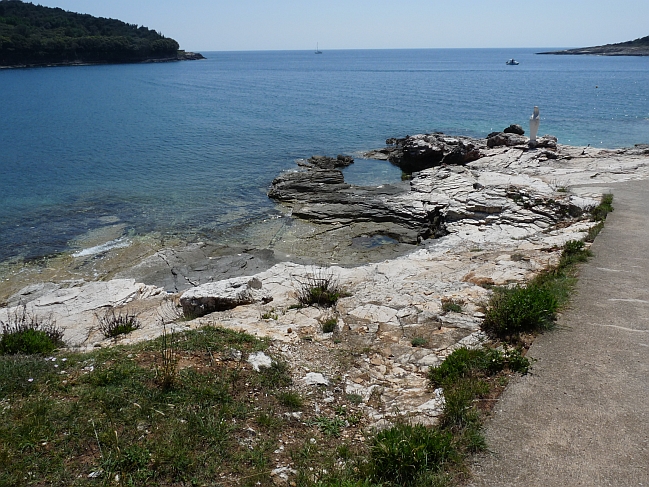 P1050273a.jpg