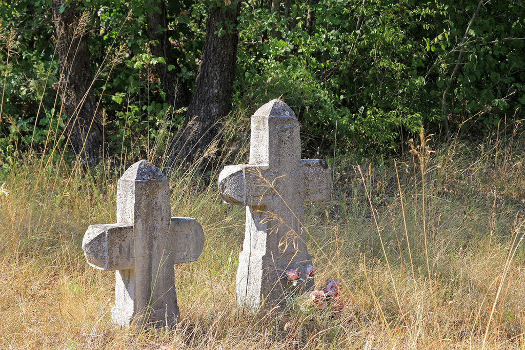 34481133pl.jpg