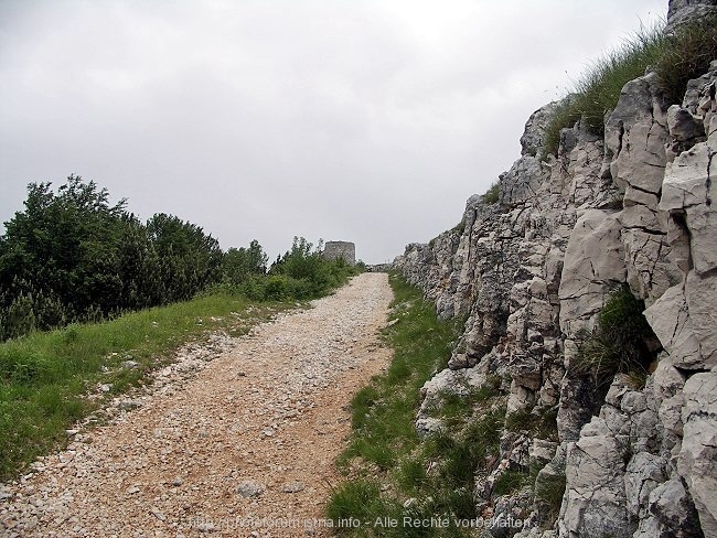 PICT1370-1.JPG