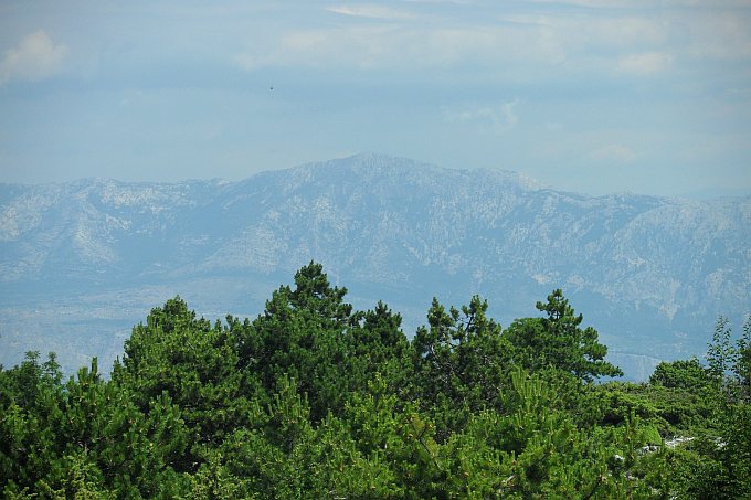 102_Wanderung_Vidova_Gora_Blick_zum_Kstengebirge.jpg