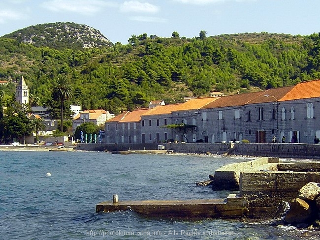 PICT0341-1.jpg